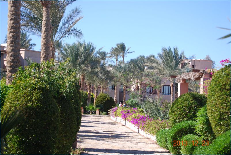 sharm 12 056